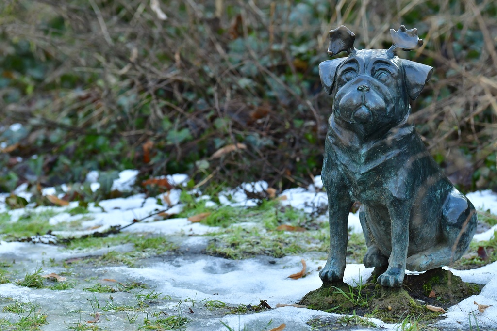 2026-01-08 Brandenburg an der Havel/Waldmöpse/DSC_2375.JPG